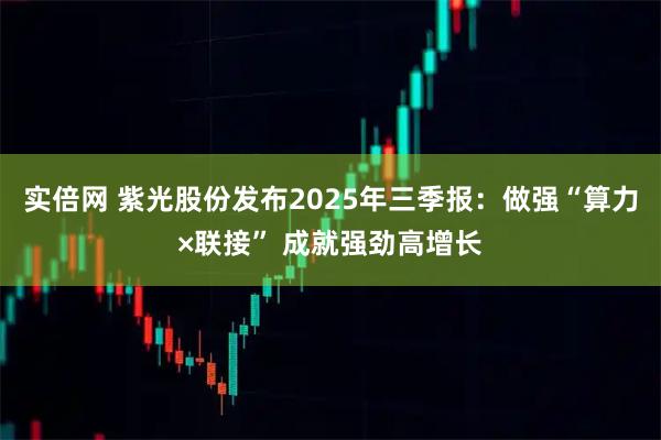 实倍网 紫光股份发布2025年三季报：做强“算力×联接” 成就强劲高增长