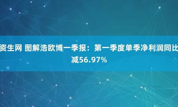 资生网 图解浩欧博一季报：第一季度单季净利润同比减56.97%