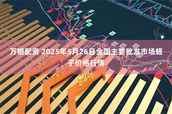 万银配资 2025年5月26日全国主要批发市场蛏子价格行情