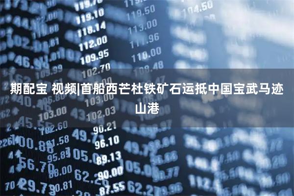 期配宝 视频|首船西芒杜铁矿石运抵中国宝武马迹山港