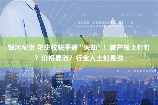 银河配资 花生收获季遇“天劫”！减产板上钉钉？价格要涨？行业人士如是说